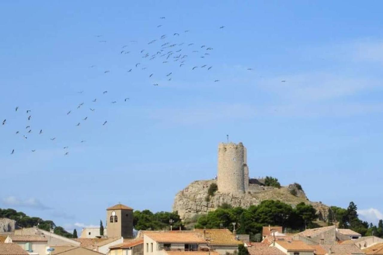 Studio sur le port, climatisation, wifi, piscine, lave-linge Gruissan Esterno foto